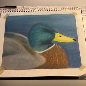Pastel drawing of a duck.